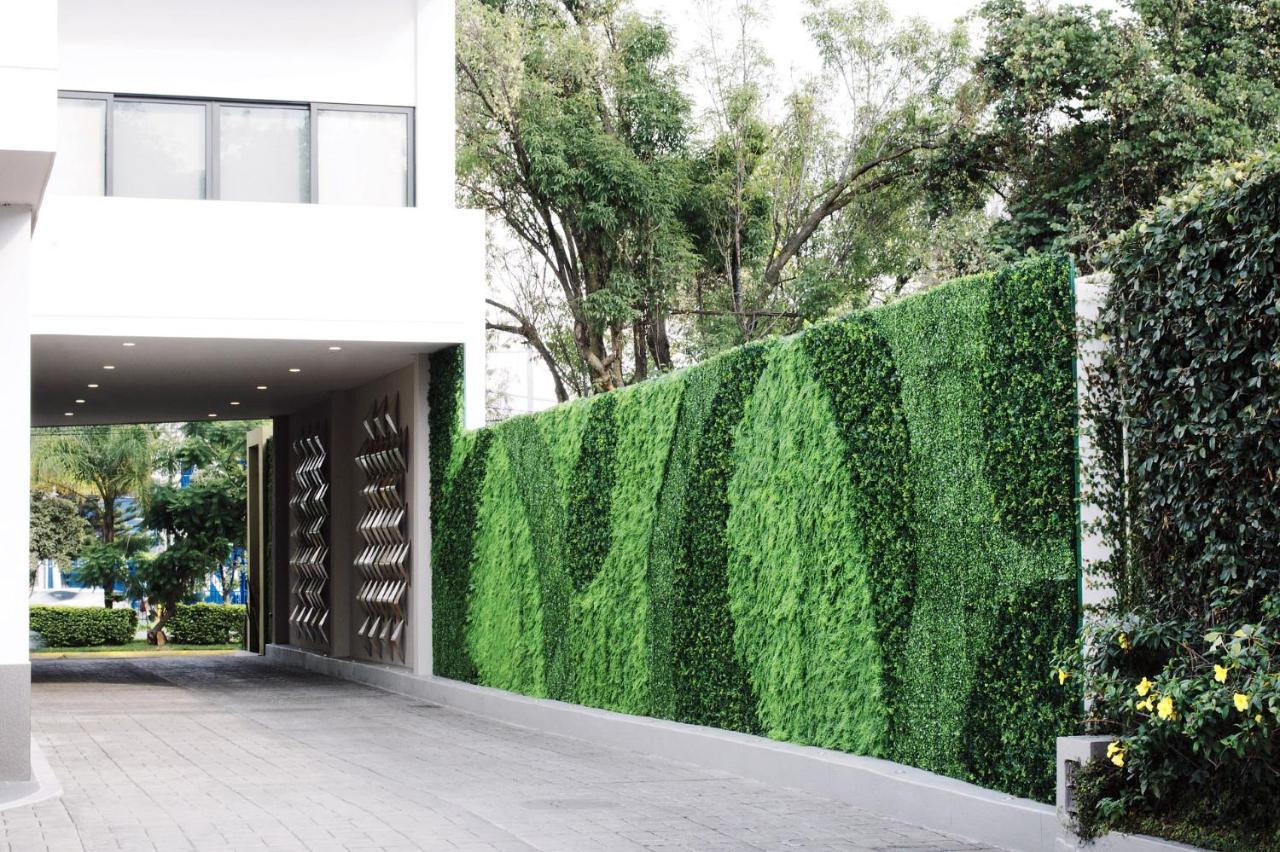 Aurea Hotel And Suites Zapopan Luaran gambar