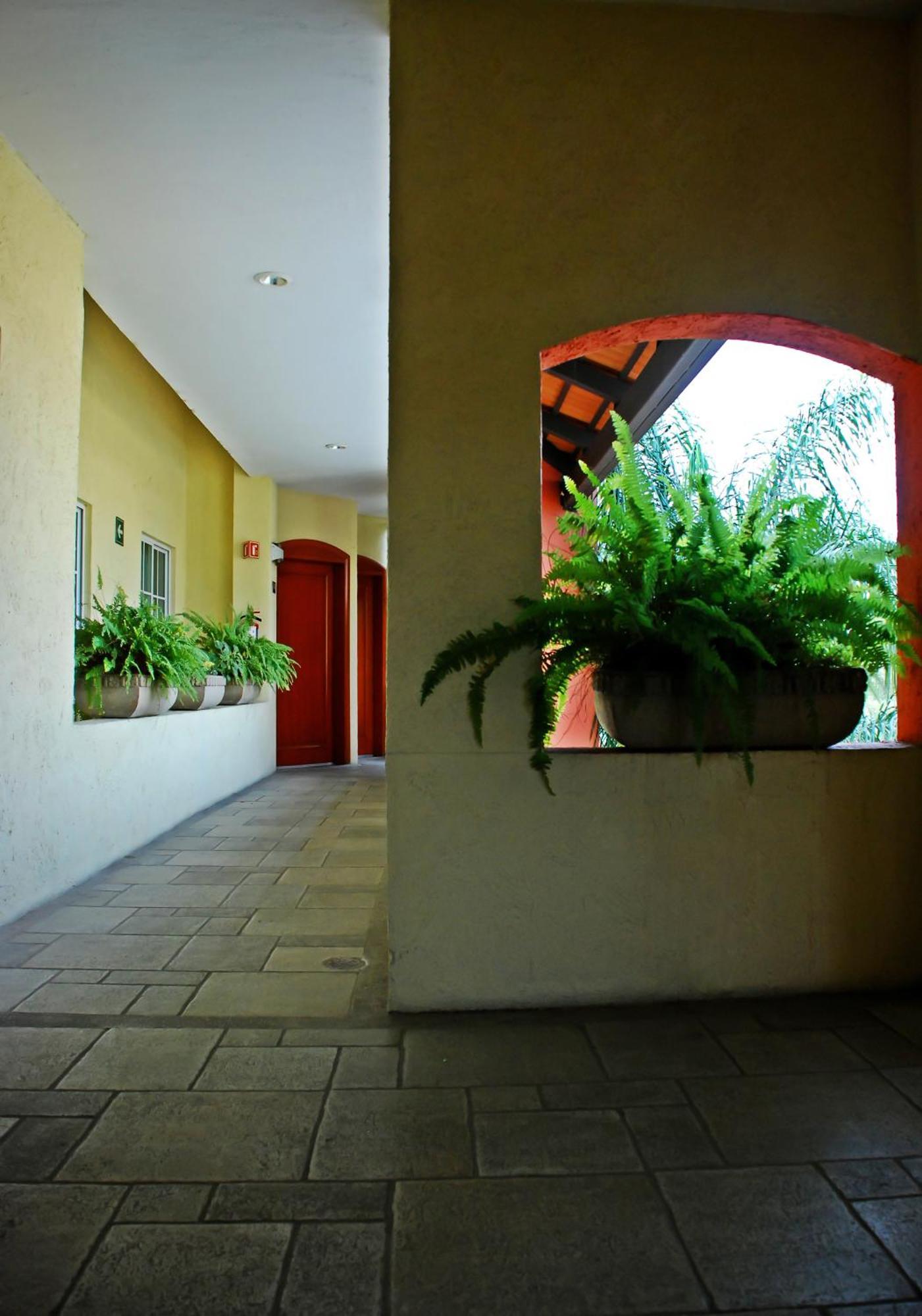 Aurea Hotel And Suites Zapopan Luaran gambar
